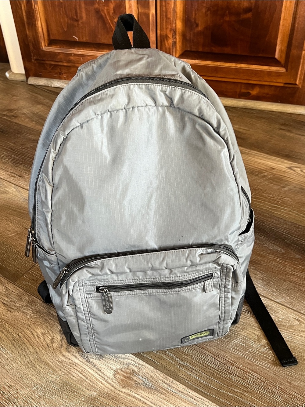 Light Gray Men's or Women’s Backpack - Casual Everyday Pack